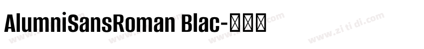 AlumniSansRoman Blac字体转换